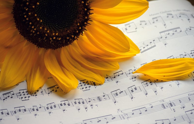 Music and Performing Arts
